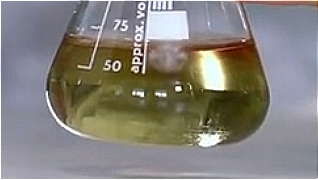 Ppg-12 Dimethicone
