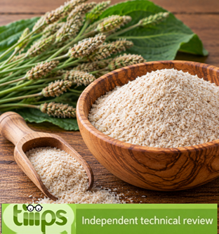 Fibre vegetali psyllium