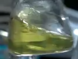 Hippophae Rhamnoides Callus Extract