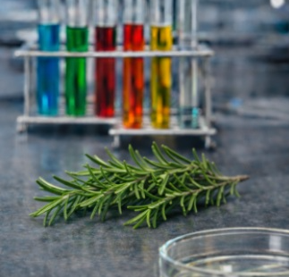 Rosmarinus officinalis (rosemary) leaf oil