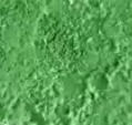 Eucalyptus Globulus Leaf Powder