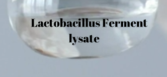 Lactobacillus Ferment Lysate