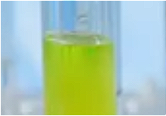 Vincetoxicum Atratum Extract