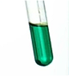 Juniperus Communis Branch/Fruit/Leaf Extract