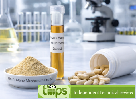 Lion's Mane Mushroom Extract