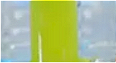 Hydrolyzed Soy Protein