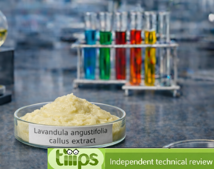 Lavandula angustifolia (Lavender) callus extract