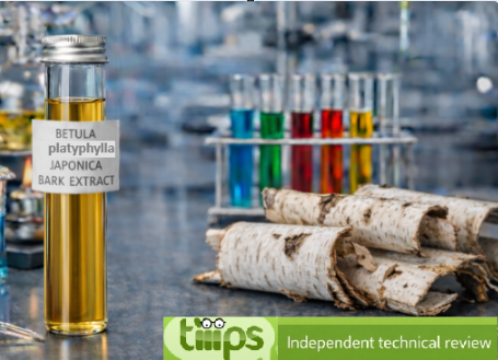 Betula Platyphylla Japonica Bark Extract